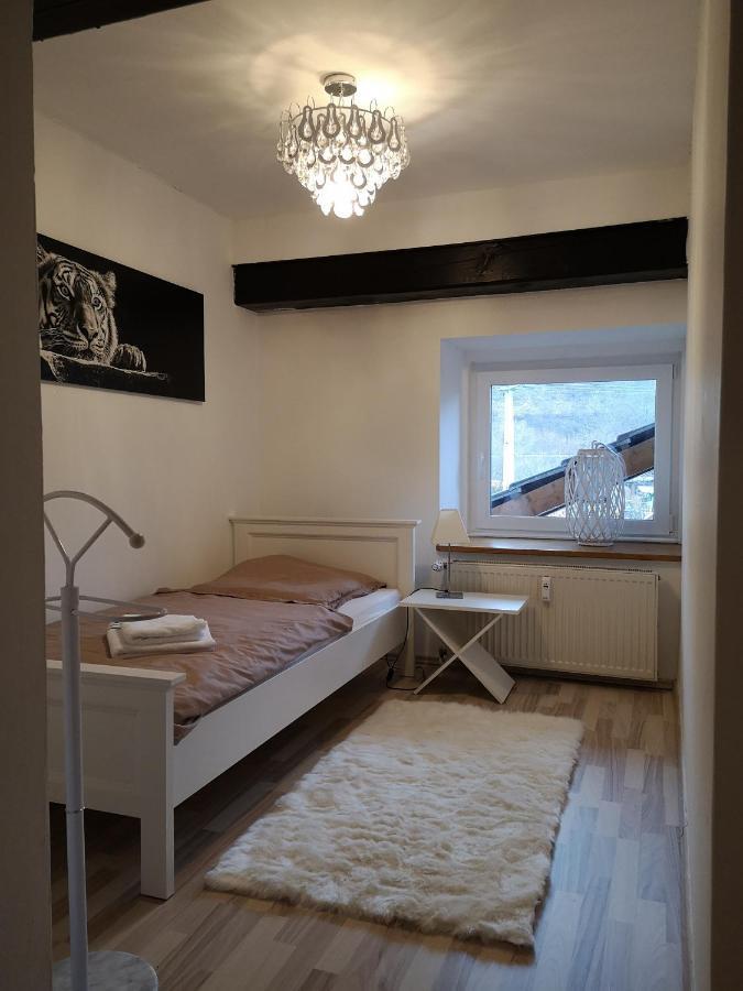 Apartment Direkt An Der Waldnaab Neustadt an der Waldnaab Bagian luar foto
